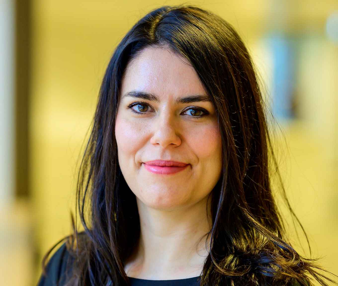 Madalina Busuioc (Leiden University)